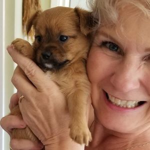 Meet your Posher, Patsy z